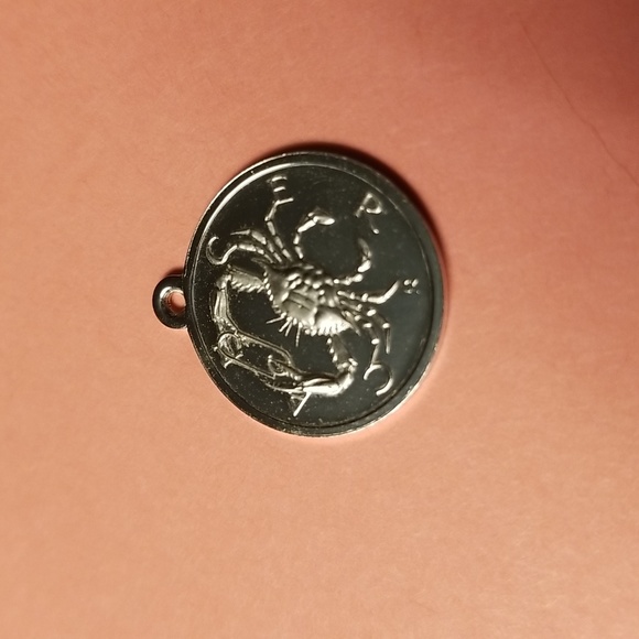 2 items Sterling Silver Zodiac Charm & Silver Plated Amethyst Necklace - Picture 3 of 4